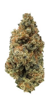 Jet Fuel OG 10.5g